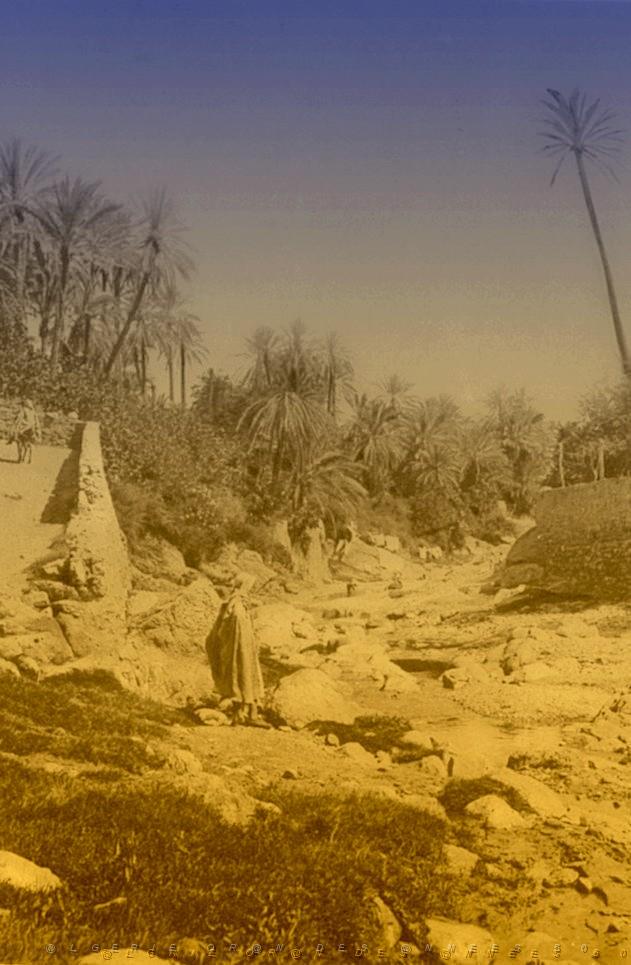 OASIS ET LE M ZAB 00009 L OUED DE BOU SAADA.jpg